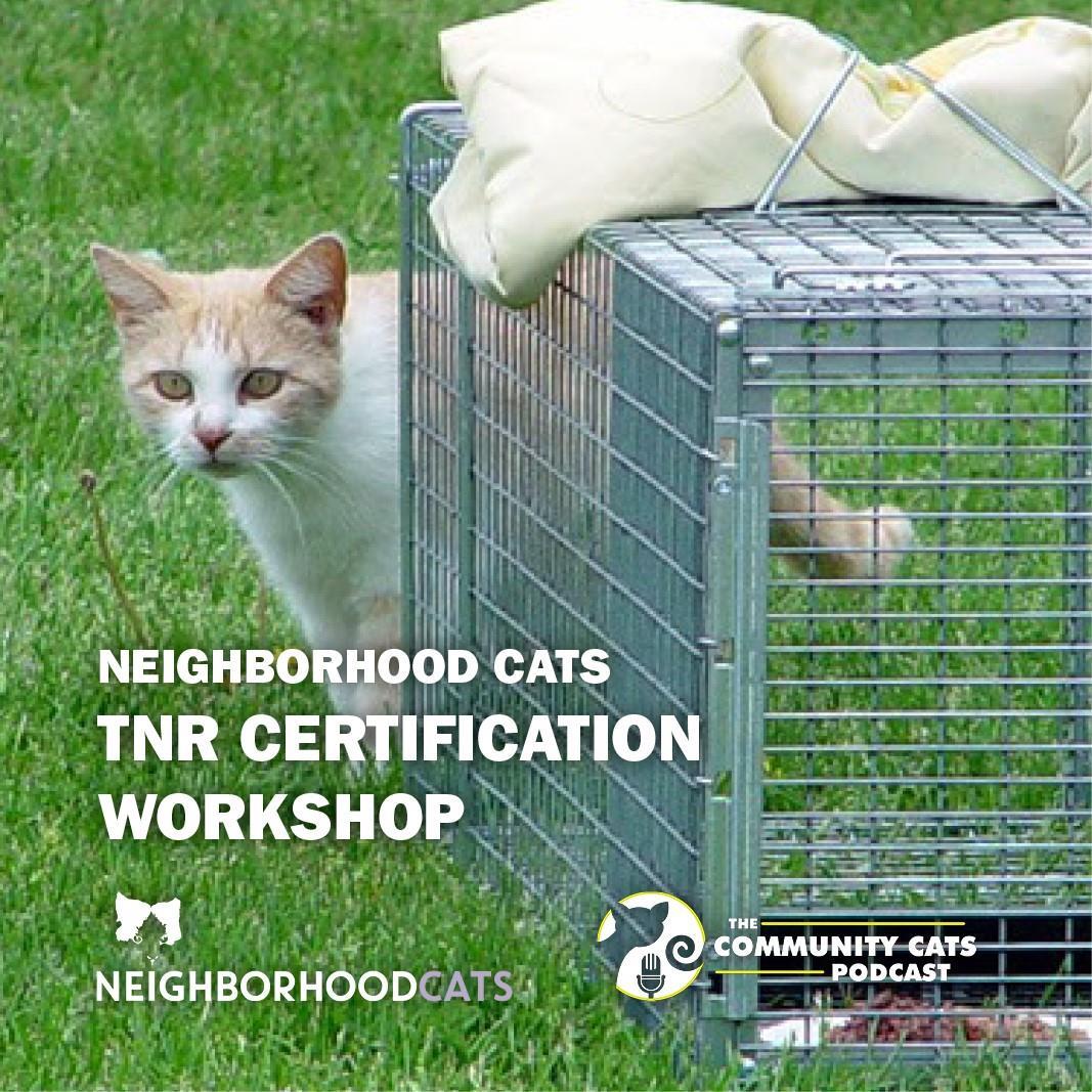 TNR Certification Workshop Flyer